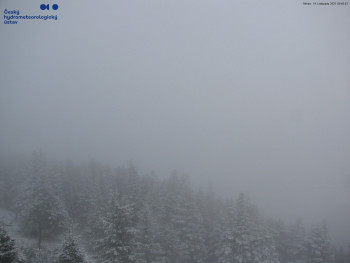 Snímek    19.11.2025 v 09:45