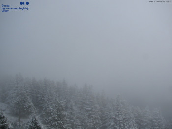 Snímek    19.11.2025 v 10:45