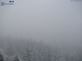 Snímek    19.11.2025 v 11:00