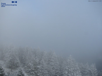 Snímek    19.11.2025 v 11:15