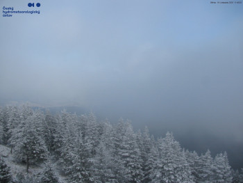 Snímek 19.11.2025 v 11:45