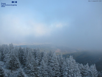 Snímek    19.11.2025 v 12:00