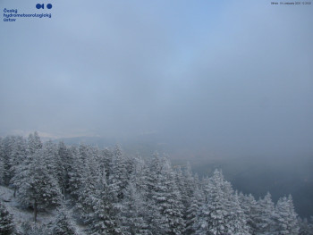 Snímek 19.11.2025 v 12:30