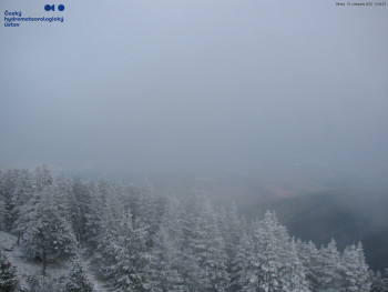 Snímek    19.11.2025 v 12:45