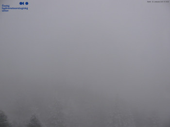 Snímek    20.11.2025 v 07:30