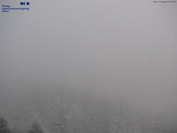 Snímek    20.11.2025 v 08:15