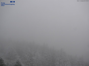 Snímek 20.11.2025 v 08:30