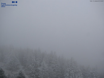 Snímek    20.11.2025 v 09:45