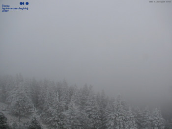 Snímek    20.11.2025 v 10:15