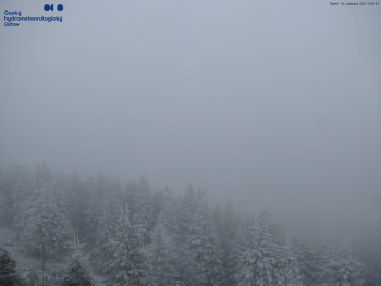 Snímek 20.11.2025 v 11:00