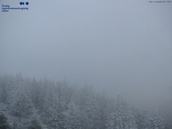 Snímek    20.11.2025 v 11:45