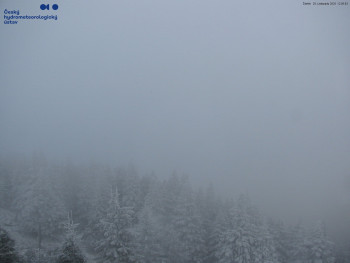 Snímek 20.11.2025 v 12:15