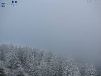 Snímek    20.11.2025 v 12:45