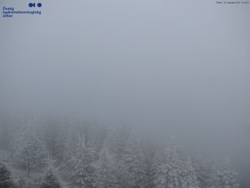 Snímek    20.11.2025 v 13:15