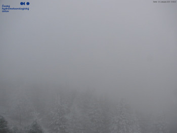 Snímek 20.11.2025 v 13:45