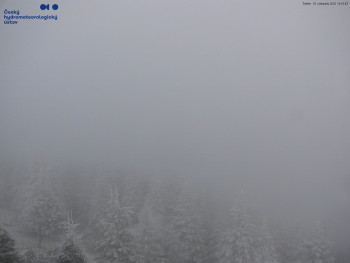 Snímek    20.11.2025 v 14:15