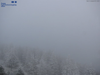 Snímek    20.11.2025 v 14:45