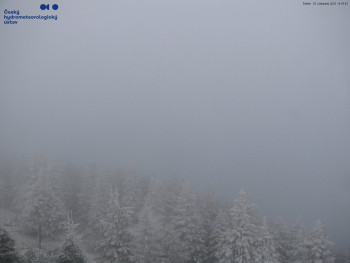 Snímek    20.11.2025 v 15:00