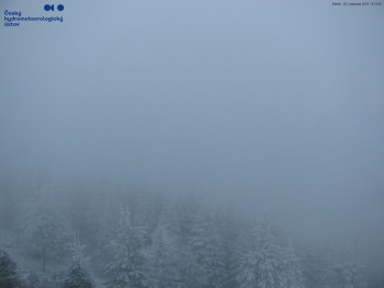 Snímek 20.11.2025 v 15:15