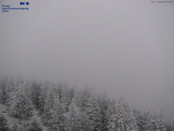 Snímek    21.11.2025 v 08:00