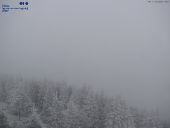 Snímek 21.11.2025 v 10:45