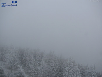 Snímek    21.11.2025 v 12:00