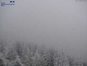 Snímek    21.11.2025 v 14:00