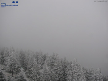 Snímek    21.11.2025 v 14:30