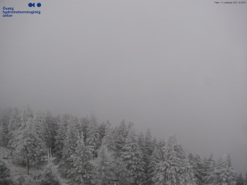 Snímek 21.11.2025 v 14:45