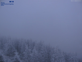 Snímek    22.11.2025 v 07:00