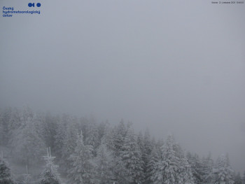 Snímek 22.11.2025 v 10:45