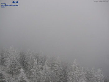 Snímek    22.11.2025 v 14:00