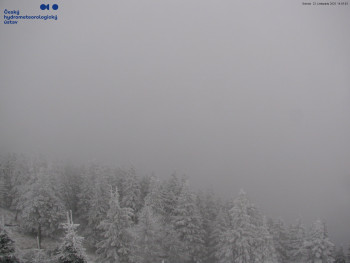 Snímek 22.11.2025 v 15:00