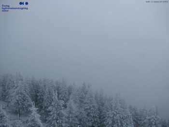 Snímek    23.11.2025 v 09:00