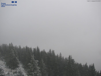 Snímek 24.11.2025 v 09:30