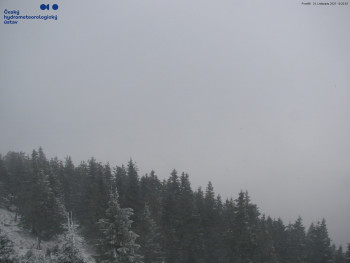 Snímek 24.11.2025 v 10:30