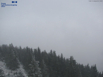 Snímek    24.11.2025 v 10:45