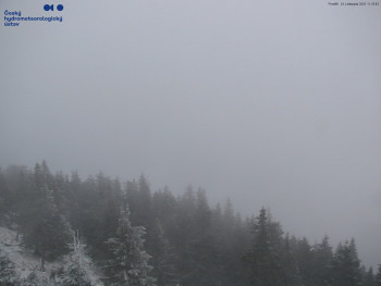 Snímek    24.11.2025 v 11:30