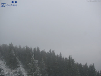 Snímek    24.11.2025 v 11:45