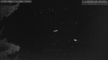 Snímek 18.11.2025 v 04:30