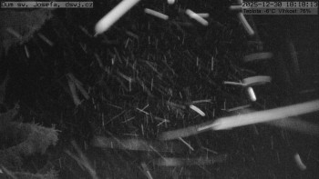 Horská chata Dům sv. Josefa