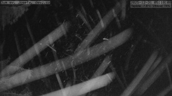 Horská chata Dům sv. Josefa