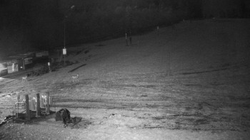 Snímek 6.11.2025 v 22:00