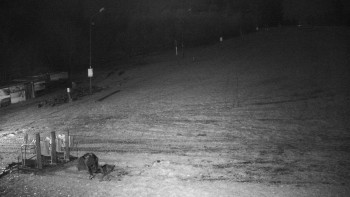 Snímek 7.11.2025 v 19:00