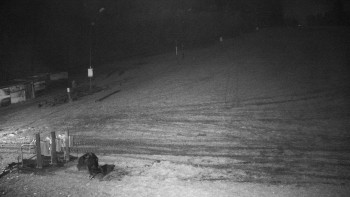 Snímek 8.11.2025 v 22:00