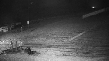 Snímek 12.11.2025 v 21:00