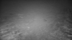 Dolní stanice vleku