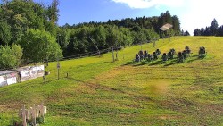 Lower lift station