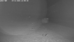 Pojezdová dráha, Runway