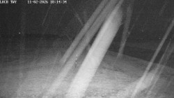 Pojezdová dráha, Runway